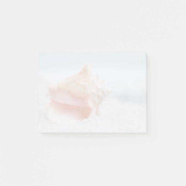 Tritonshorn-Muschel Post-it Klebezettel (Vorderseite)