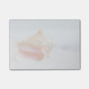 Tritonshorn-Muschel Post-it Klebezettel