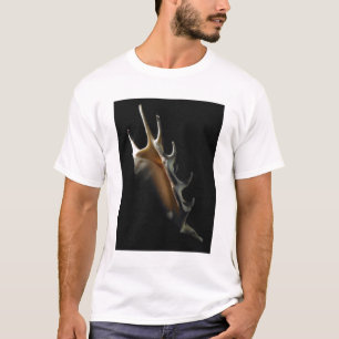 Tritonshorn-Muschel T-Shirt