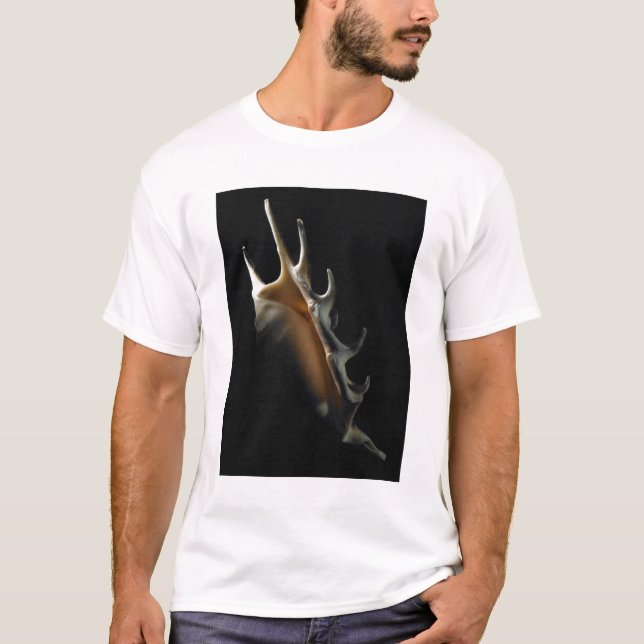 Tritonshorn-Muschel T-Shirt (Vorderseite)