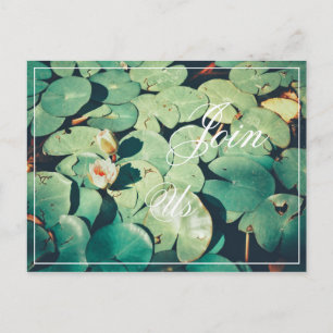 Tritt uns bei Grüne Blätter Wasserlilie Blume Post Postkarte