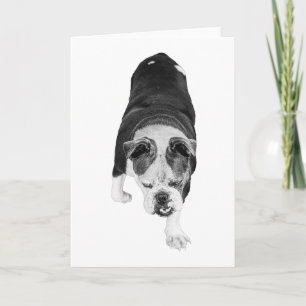 Trittender Hund sendet warme motivierende Wünsche Karte