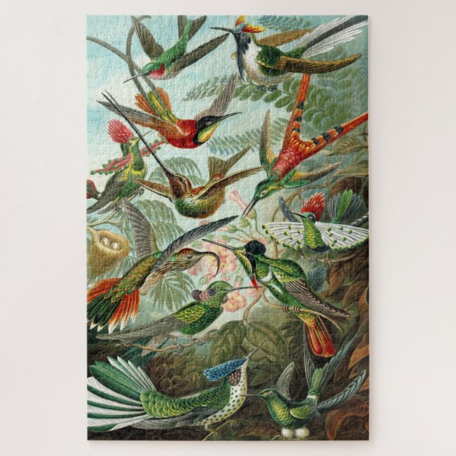 Trochilidae-Kolibris aus Kunstformen der Natur (Vertikal)