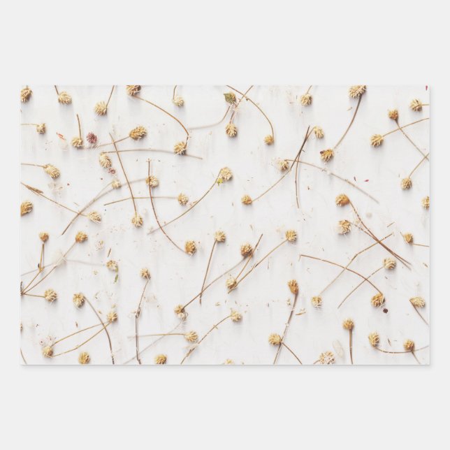 Trockene Pflanze für Hochzeiten und Geschenke Geschenkpapier Set (Vorderseite 3)