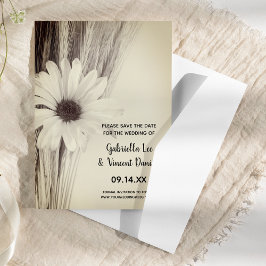 Trockene Weizen- und Daisy-Farm-Hochzeit Sichern S Save The Date