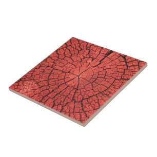 Trockener Baumstamm Querschnitt Rosa-Rotes Holz Fo Fliese