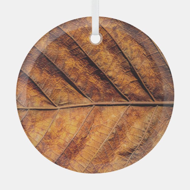 Trockenes Blatt: natürlicher Texturhintergrund. Ornament Aus Glas (Vorderseite)