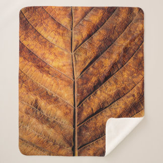 Trockenes Blatt: natürlicher Texturhintergrund. Sherpadecke
