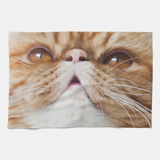 Trockenes DA-Geschirr! Geschirrtuch (Horizontal)