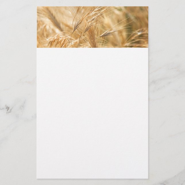Trockengras Briefpapier (Vorderseite)