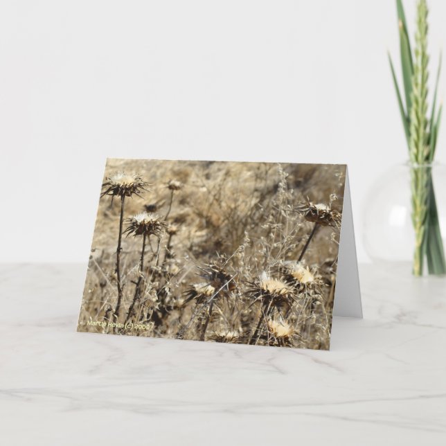 Trockengras Karte (Vorderseite)