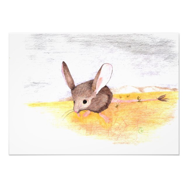 Trockenmouse Fotodruck (Vorne)