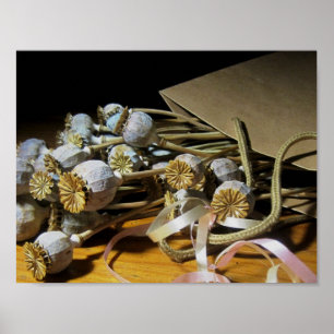 Trockenpoppy-Pods der Blume Poster
