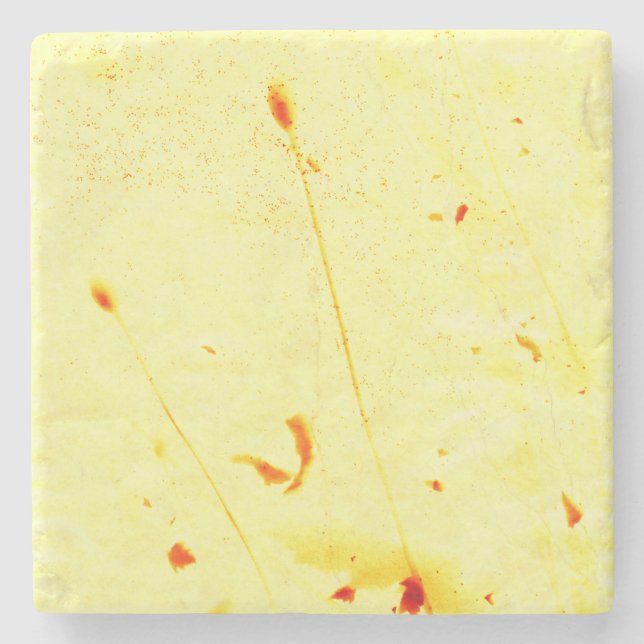 Trockenpoppy stalks sunprint Untersetzer (Vorderseite)