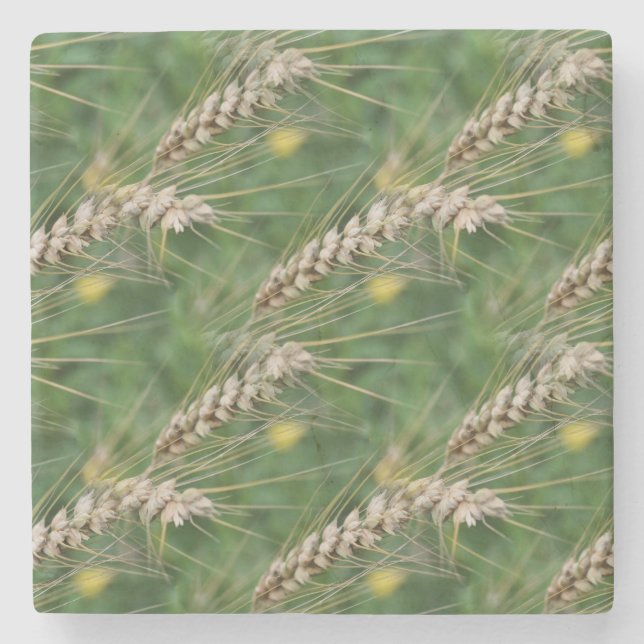 Trockenrasen Naturkunstmuster Steinuntersetzer (Vorderseite)