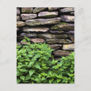 Trockensteinwand Postkarte