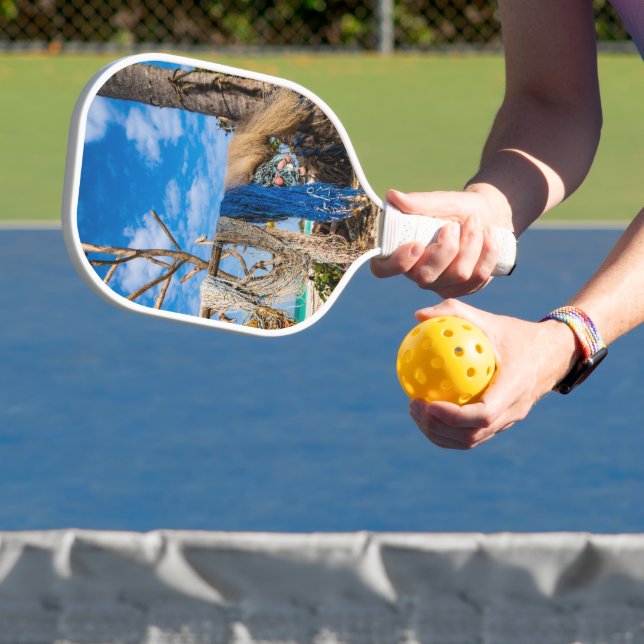 Trocknen der Netze am Strand Pickleball Schläger (InSitu)