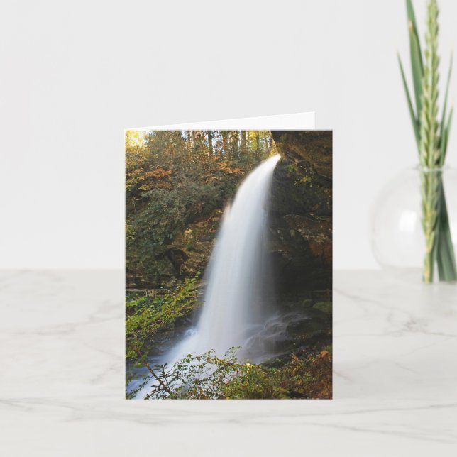 Trocknen Sie Fälle Karte (Vorderseite)