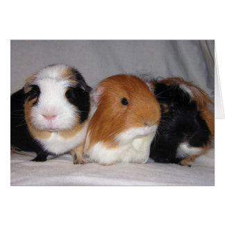 Trois amis