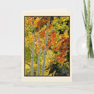 Trois Aspen à l'automne, carte de voeux vierge