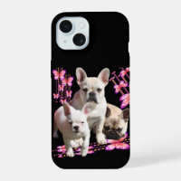 Trois bouledogues français avec papillon