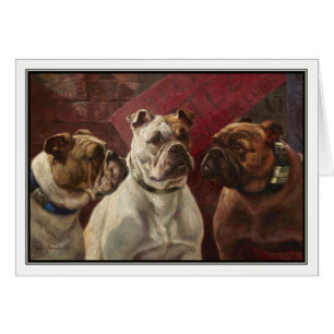 Trois bouledogues par Charles Boland