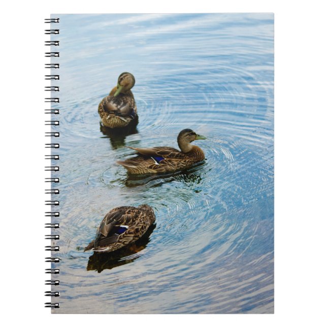 Trois Carnets (Devant)