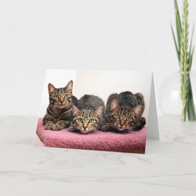 Trois cartes d'Amigo (Devant)