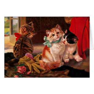 Trois cartes de chaton Vintages