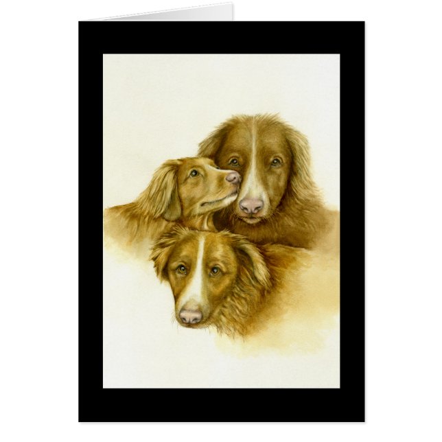 Trois cartes de récupération de la tolérance de ca (Devant)