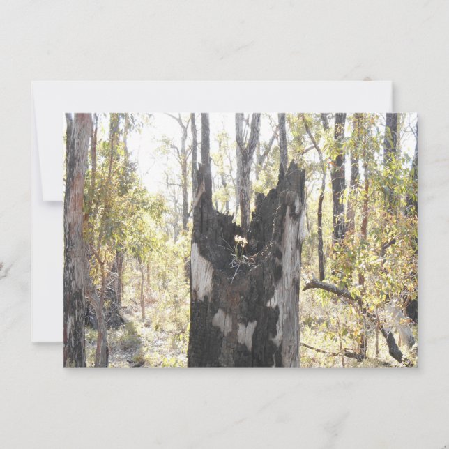 Trois cartes lumineuses (Devant)