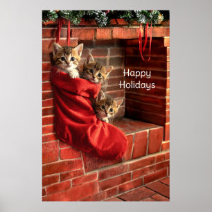 Trois chatons dans une affiche de bas de Noël