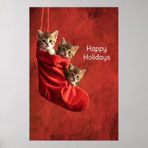 Trois chatons dans une affiche de bas de Noël