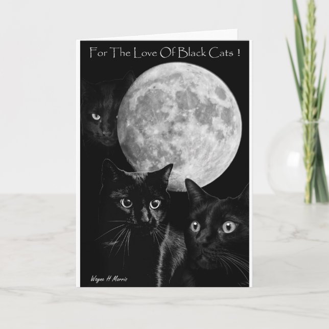 Trois chats noirs et la carte de voeux de lune (Devant)