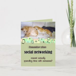 Trois chiens adorables Carte de voeux d'anniversai