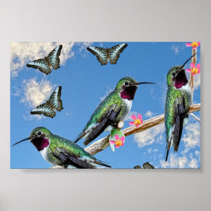 Trois colibris perchés sur une affiche de branche