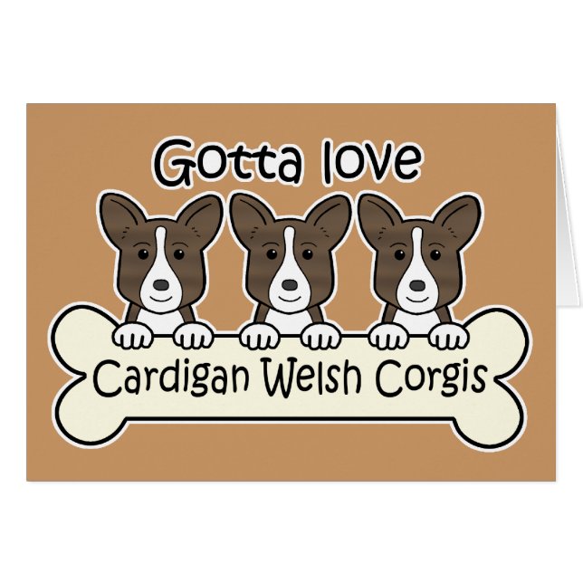 Trois Corgis de Gallois de cardigan (Devant Horizontal)