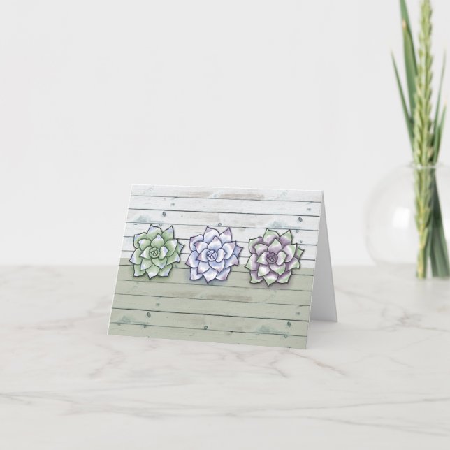 Trois Echeveria succulents Plantes sur gris clair (Devant)