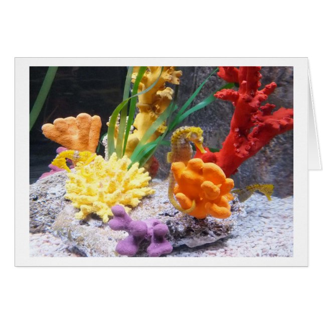 Trois hippocampes (Devant horizontal)