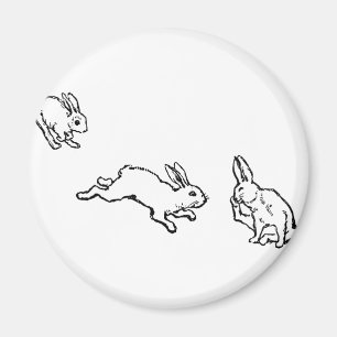 TROIS LAPINS MAGNET