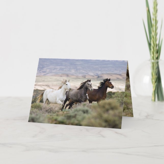 Trois Mares qui courent la carte de voeux de Cheva (Devant)