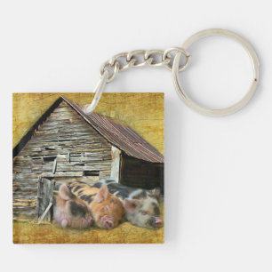 Trois Petits Cochons À La Grange Rustique Snoozing