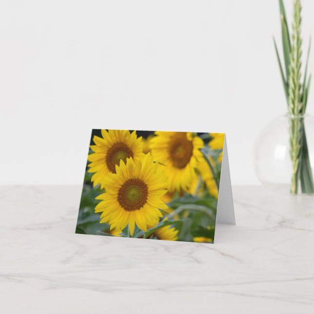 Trois tournesols pliés Carte de remerciements (Devant)