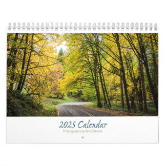 Troisième calendrier 2025 d'Amy