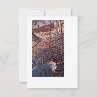 Troll Geocache Card Einladung