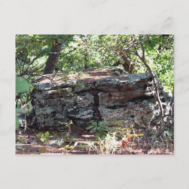 Troll House Postkarte (Vorderseite)