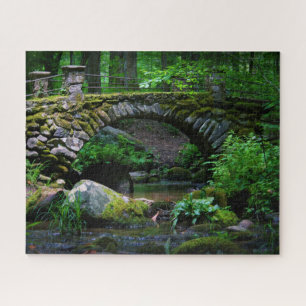 Trollbrücke im Wald - 16x20