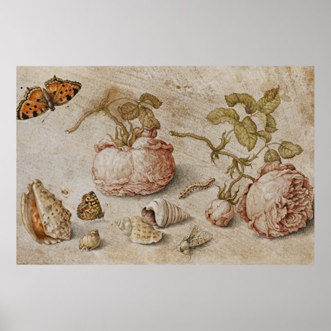 Trompe l'oeil Still Life - Jan van Kessel der Älte Poster (Vorne)