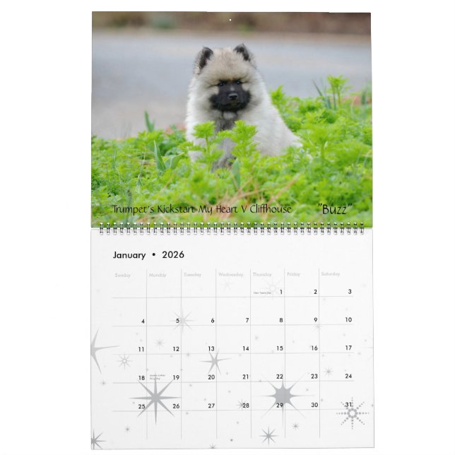 Trompetekeeshond-Kalender 2013 Ende Dezember Kalender (Jan 2026)