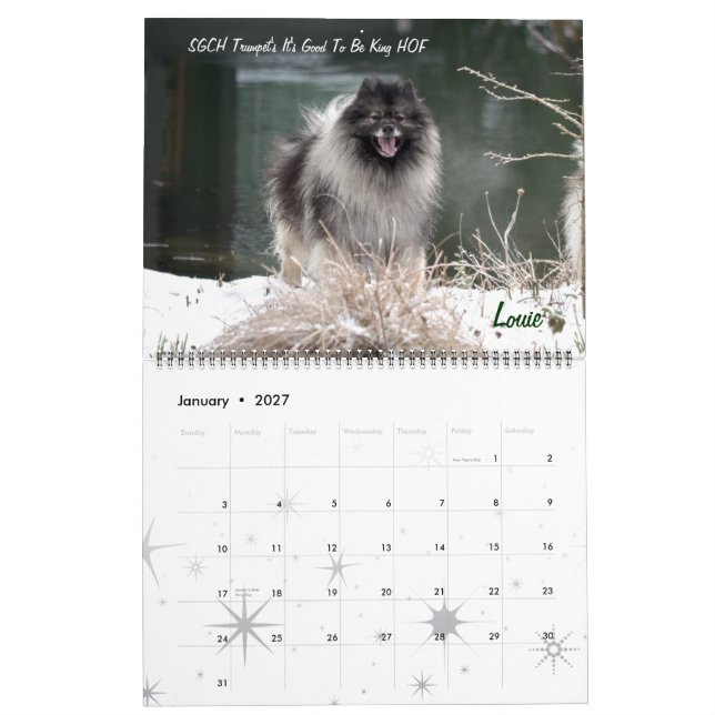 Trompetekeeshond-Kalender Kalender (Jan 2027)
